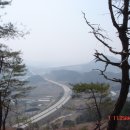 장룡