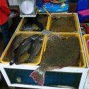 동이수산 이미지