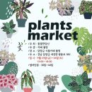 꽃꽃한당신 이미지