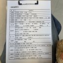 긍휼의집 | 두번째 결혼기념일 / 2nd anniversary♥ (feat.평택 임신 사전건강관리지원 산전검사 후기)