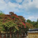 고려동유적지 이미지