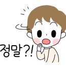 리코두피탈모관리