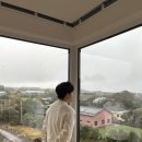 태풍카인테리어 | 4월 제주 여행 2,3일차 :: 용눈이오름 말, 세화해수욕장, 유채꽃 구경, 청기백기 게임하는 제주 날씨