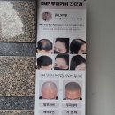 혜진디자인 이미지