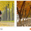 종로-종로-종로-종-276 이미지