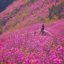 원전약수터 공중화장실 | [4월 창원 여행] 천주산 진달래 등산코스 주차 꿀팁부터 장수암 오션뷰까지 당일치기 여행