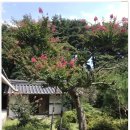 삼선고택 이미지