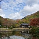 진도 운림산방 이미지