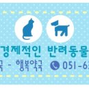 서면동물약국 네이버블로그
