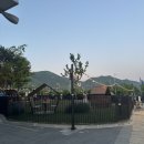 블랙야크 맞은편 횡단보도 | [애견동반 쇼핑몰] 서울 근교 스타필드 하남 애견동반 후기🏬