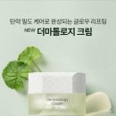 라헬뷰티인셀덤