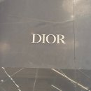 558 | 디올 립스틱 <벨벳 558색상> 내돈내산 후기