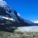 파크필드 이미지