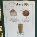 쏠트(SALT)3.5 | 성수 코끼리베이글 메뉴 가격 위치 맛 영업시간 주차 오픈런