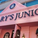 [내돈내산]용산 영어유치원 세인트메리주니어
