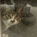 스테이 해옥 이미지