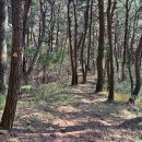 의령 벽화산성지 이미지