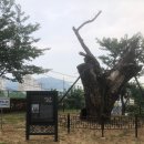 사상근린공원 이미지