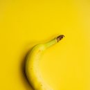 바나나 이미지