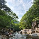 내원사계곡(내원사) | 양산 여름 여행 '내원사 계곡' 스노클링 후기 피서지로 딱이야 주차비