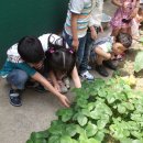 파랑새몬테소리어린이집 이미지