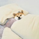 MCT GYM 신촌 이미지