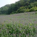 주왕산휴식소 이미지