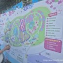 지에스장생포점 | 울산 장생포고래문화마을 수국페스티벌 후기 6.28방문