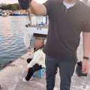 우신낚시.슈퍼