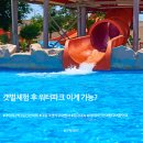 배움반(초등3~4) | 아이와 인천 여행 5시간 코스 | 영종도 더위크 워터파크 + 우이며녹 후기