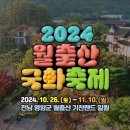 [전라남도] 2024월출산 국화축제🎶 이미지