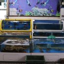 석호수산식당 이미지