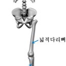 부천시청 이미지