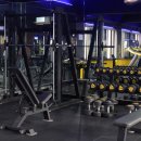 다짐 피트니스 이미지