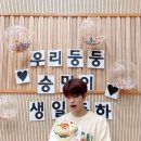 멍멍스타 이미지