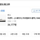 반스완 이미지