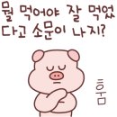 센다이코코로 이미지