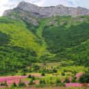 슬로트래블 이미지