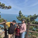 거제지심도 | 거제 지세포 유람선 타고 지심도 여행 후기