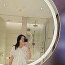 더 링크 서울, 트리뷰트 포트폴리오 호텔 이미지