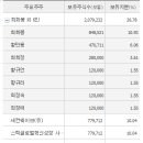 신흥전지
