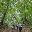 제177차 경북 문경,충북 괴산 대야산(931m) 정기산행의 추억 이미지