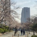 아브라함의 상속자들