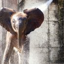 김밥천국(벌교) 이미지