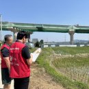 위전4리 이미지