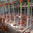 소성축산 이미지