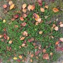 세탁하기좋은집 이미지