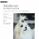 히든밸리켄넬 이미지