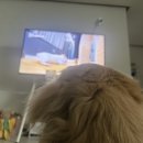 (주)동방축산 - 성동구 | (주)동방축산