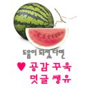 [퍼플수박] 탠디소가죽스니커즈 9922005 탠디몰 구매후기